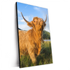 Xxl Wandbild Hochland Bulle Hochformat Produktvorschau Seitlich