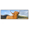 Xxl Wandbild Hochland Bulle Panorama Produktvorschau Frontal