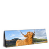 Xxl Wandbild Hochland Bulle Panorama Produktvorschau Seitlich