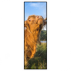 Xxl Wandbild Hochland Bulle Schmal Produktvorschau Frontal