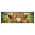 Xxl Wandbild Hochland Rind Mit Nasenring Panorama Produktvorschau Frontal