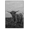 Xxl Wandbild Hochland Rind Schwarz Weiss Hochformat Produktvorschau Frontal