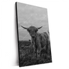 Xxl Wandbild Hochland Rind Schwarz Weiss Hochformat Produktvorschau Seitlich