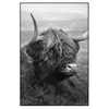 Xxl Wandbild Hochland Rind Schwarz Weiss No 2 Hochformat Produktvorschau Frontal