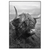 Xxl Wandbild Hochland Rind Schwarz Weiss No 2 Hochformat Produktvorschau Frontal