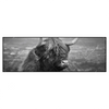 Xxl Wandbild Hochland Rind Schwarz Weiss No 2 Panorama Produktvorschau Frontal