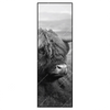 Xxl Wandbild Hochland Rind Schwarz Weiss No 2 Schmal Produktvorschau Frontal