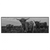 Xxl Wandbild Hochland Rind Schwarz Weiss Panorama Produktvorschau Frontal