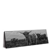 Xxl Wandbild Hochland Rind Schwarz Weiss Panorama Produktvorschau Seitlich