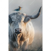 Xxl Wandbild Hochlandrind Bunter Vogel Hochformat Motivvorschau