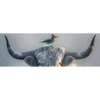 Xxl Wandbild Hochlandrind Bunter Vogel Panorama Motivvorschau