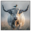 Xxl Wandbild Hochlandrind Bunter Vogel Quadrat Produktvorschau Frontal