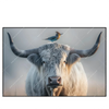 Xxl Wandbild Hochlandrind Bunter Vogel Querformat Produktvorschau Frontal