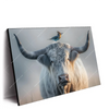 Xxl Wandbild Hochlandrind Bunter Vogel Querformat Produktvorschau Seitlich