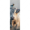 Xxl Wandbild Hochlandrind Bunter Vogel Schmal Motivvorschau