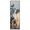 Xxl Wandbild Hochlandrind Bunter Vogel Schmal Produktvorschau Frontal