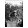 Xxl Wandbild Hochlandrind No 2 Hochformat Produktvorschau Frontal
