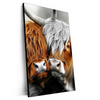 Xxl Wandbild Hochlandrinder Harmonie Der Natur Hochformat Produktvorschau Seitlich