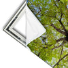 Xxl Wandbild Hoher Baum Hochformat Materialvorschau