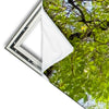 Xxl Wandbild Hoher Baum Panorama Materialvorschau