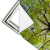Xxl Wandbild Hoher Baum Quadrat Materialvorschau