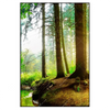 Xxl Wandbild Idyllischer Wald Bei Sonnenaufgang Hochformat Produktvorschau Frontal