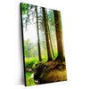 Xxl Wandbild Idyllischer Wald Bei Sonnenaufgang Hochformat Produktvorschau Seitlich