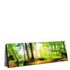 Xxl Wandbild Idyllischer Wald Bei Sonnenaufgang Panorama Produktvorschau Seitlich