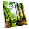 Xxl Wandbild Idyllischer Wald Bei Sonnenaufgang Quadrat Produktvorschau Seitlich