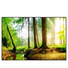 Xxl Wandbild Idyllischer Wald Bei Sonnenaufgang Querformat Produktvorschau Frontal