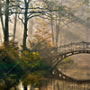 Xxl Wandbild Idyllischer Wald Mit Bruecke Quadrat Motivvorschau