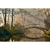 Xxl Wandbild Idyllischer Wald Mit Bruecke Querformat Motivvorschau