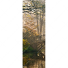 Xxl Wandbild Idyllischer Wald Mit Bruecke Schmal Motivvorschau