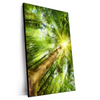 Xxl Wandbild Im Frischen Gruenen Wald Hochformat Produktvorschau Seitlich