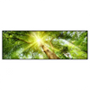 Xxl Wandbild Im Frischen Gruenen Wald Panorama Produktvorschau Frontal