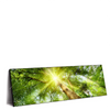 Xxl Wandbild Im Frischen Gruenen Wald Panorama Produktvorschau Seitlich