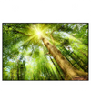 Xxl Wandbild Im Frischen Gruenen Wald Querformat Produktvorschau Frontal