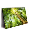 Xxl Wandbild Im Frischen Gruenen Wald Querformat Produktvorschau Seitlich