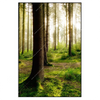Xxl Wandbild Im Tiefen Wald Hochformat Produktvorschau Frontal