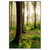 Xxl Wandbild Im Tiefen Wald Hochformat Produktvorschau Frontal