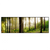 Xxl Wandbild Im Tiefen Wald Panorama Produktvorschau Frontal