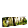 Xxl Wandbild Im Tiefen Wald Panorama Produktvorschau Seitlich
