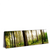 Xxl Wandbild Im Tiefen Wald Panorama Produktvorschau Seitlich