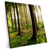 Xxl Wandbild Im Tiefen Wald Quadrat Produktvorschau Seitlich