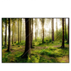 Xxl Wandbild Im Tiefen Wald Querformat Produktvorschau Frontal