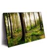 Xxl Wandbild Im Tiefen Wald Querformat Produktvorschau Seitlich