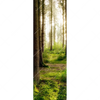 Xxl Wandbild Im Tiefen Wald Schmal Motivvorschau