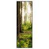 Xxl Wandbild Im Tiefen Wald Schmal Produktvorschau Frontal