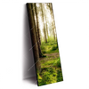 Xxl Wandbild Im Tiefen Wald Schmal Produktvorschau Seitlich