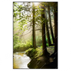 Xxl Wandbild Im Wald Hochformat Produktvorschau Frontal